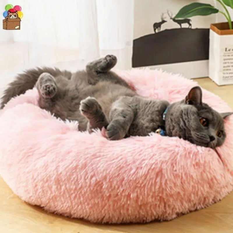 TOPCONFORT | LIT APAISANT POUR CHAT - CHAT CHANCEUX