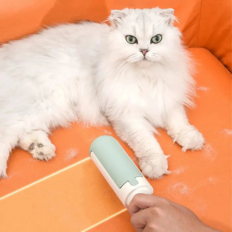 Brosse Multi Usages CHAT CHANCEUX
