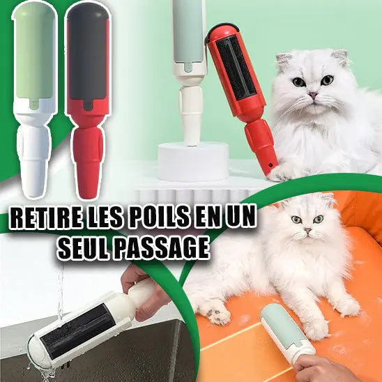 Brosse Multi Usages CHAT CHANCEUX