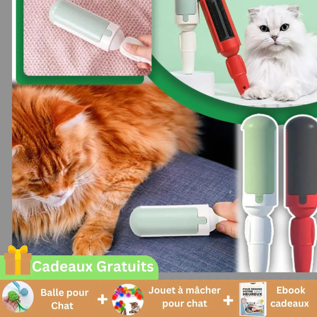 Brosse Multi Usages CHAT CHANCEUX