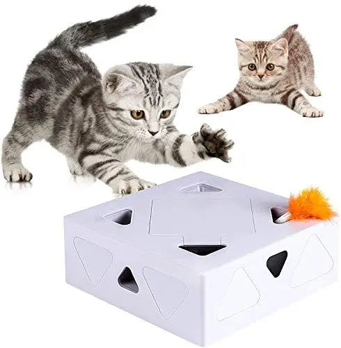 MouseBox attrape-souris électrique pour chat | Chat - CHAT CHANCEUX